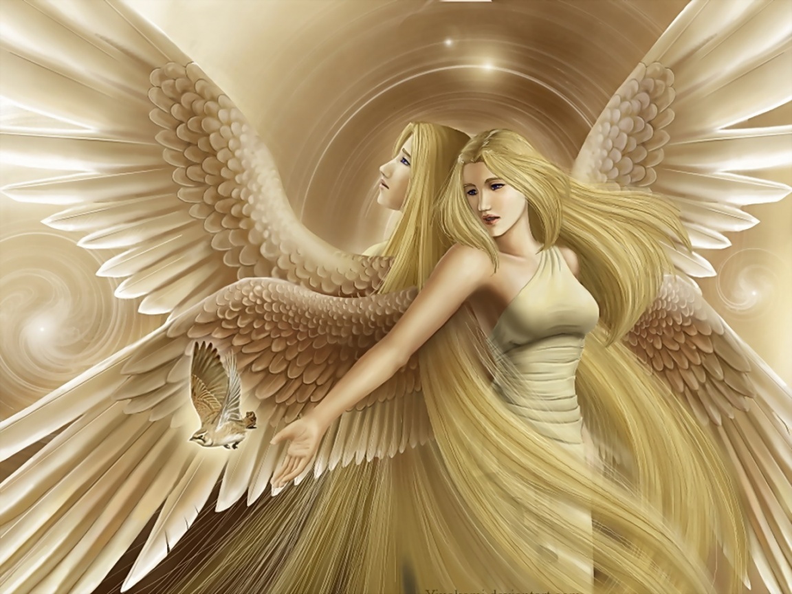 book angel healing tickets